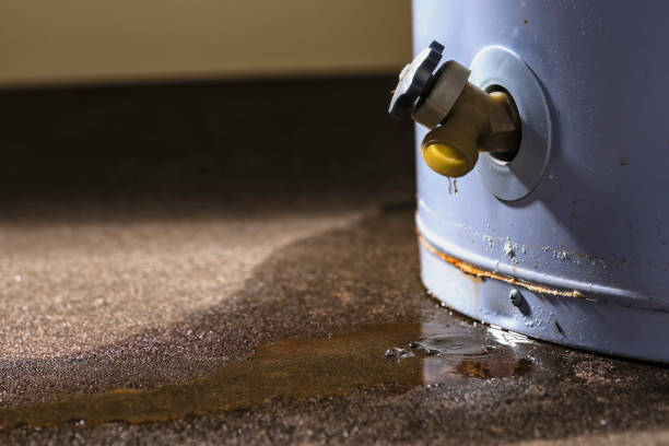 Best Mold removal after water damage  in Fairview, NJ