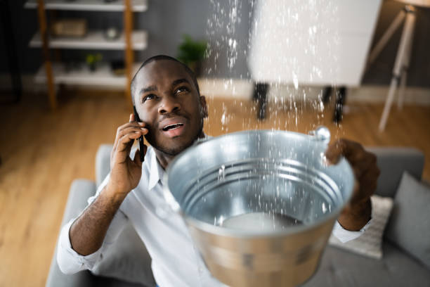 Best 24-hour water damage restoration  in Fairview, NJ