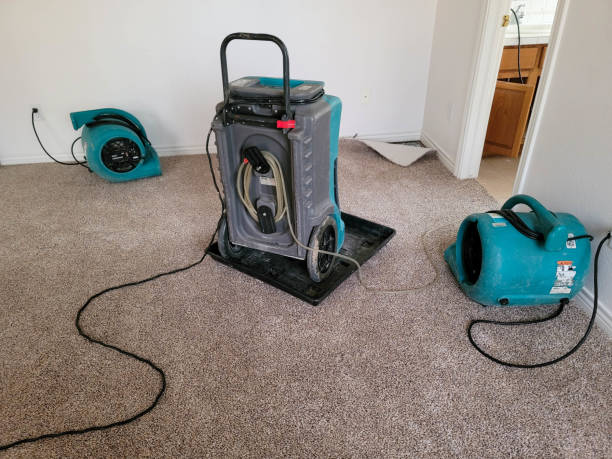 Water damage restoration insurance claims in Fairview, NJ