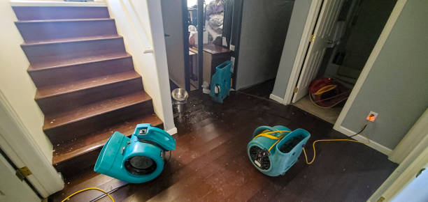 Best Water damage restoration services  in Fairview, NJ