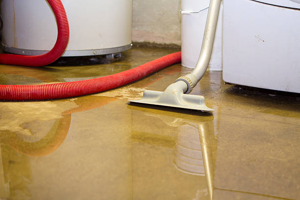 Best Water damage cleanup near me  in Fairview, NJ