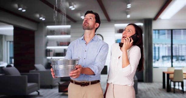 Best Water damage restoration insurance claims  in Fairview, NJ