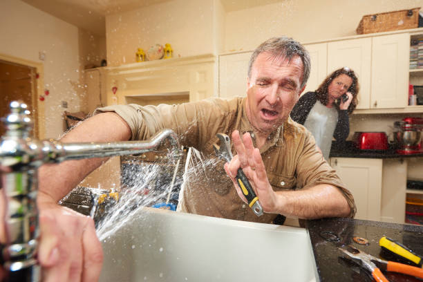Best Flooded house restoration  in Fairview, NJ